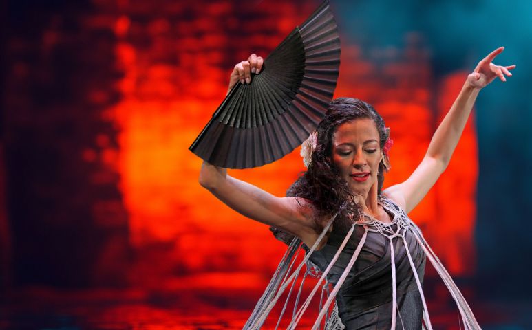 Фламенко на семи ветрах