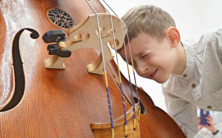 Контрабас ("Струнные смычковые")