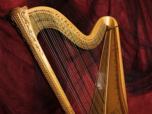 Аргентинский концерт для арфы