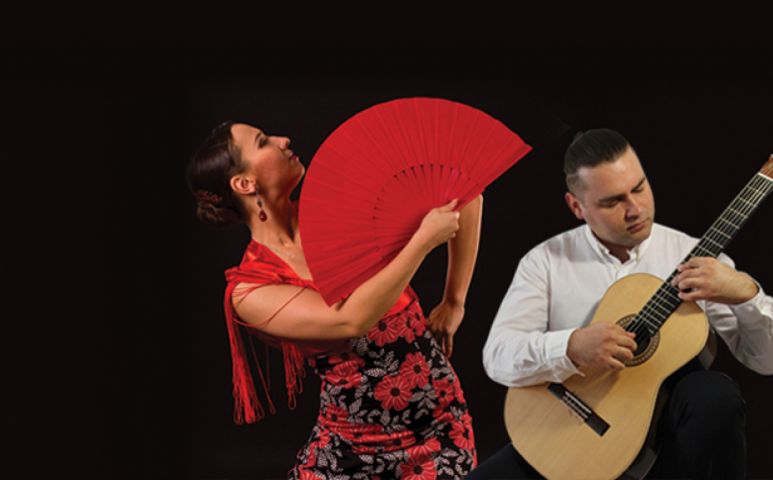 Фламенко-шоу