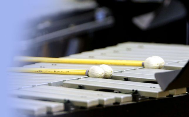 Ансамбль ударных