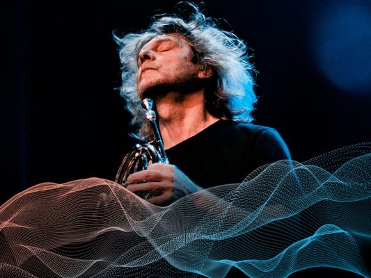 Орган и альпийский рог