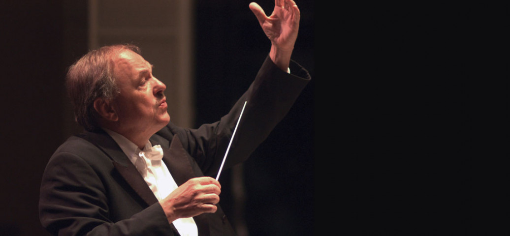 Вайль Бруно, Германия